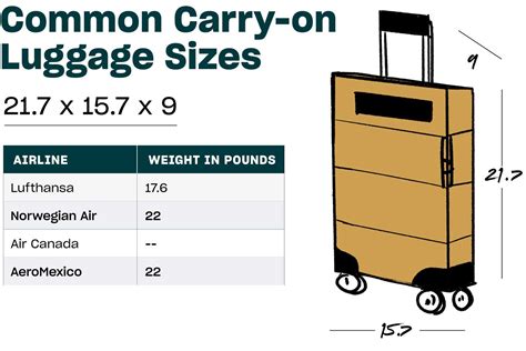 is 30 inch luggage too big